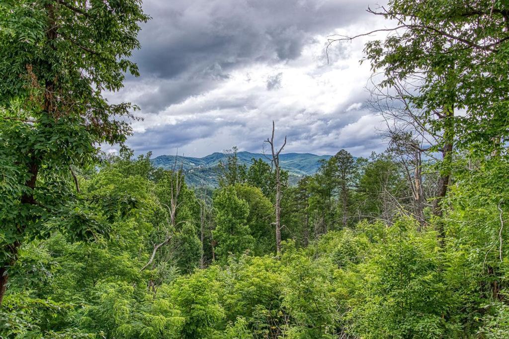 Blue Mist Villa Gatlinburg Kültér fotó