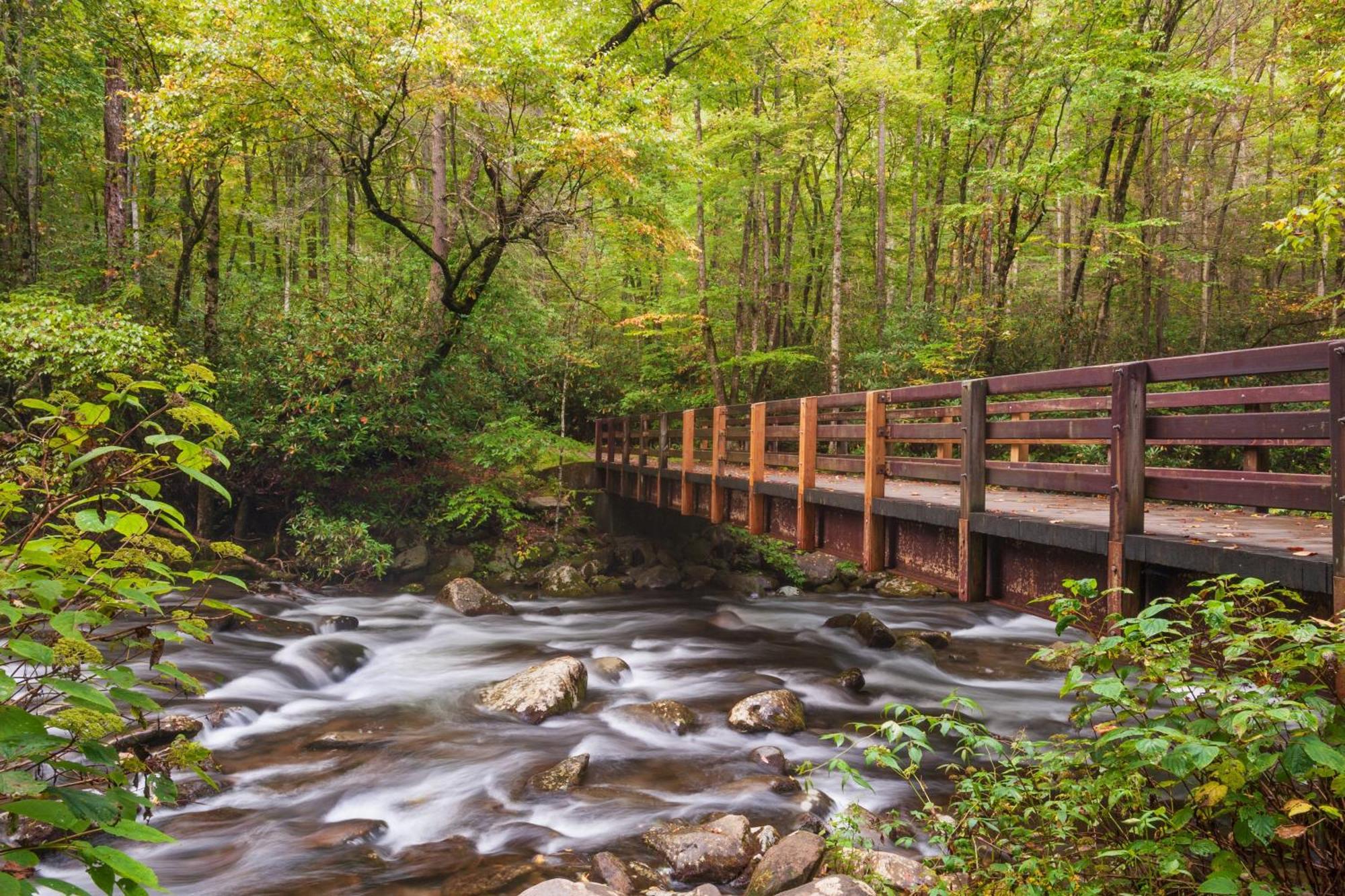 Blue Mist Villa Gatlinburg Kültér fotó